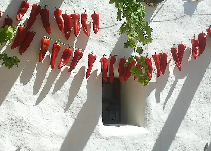Hotel Rural Cortijo La Alberca