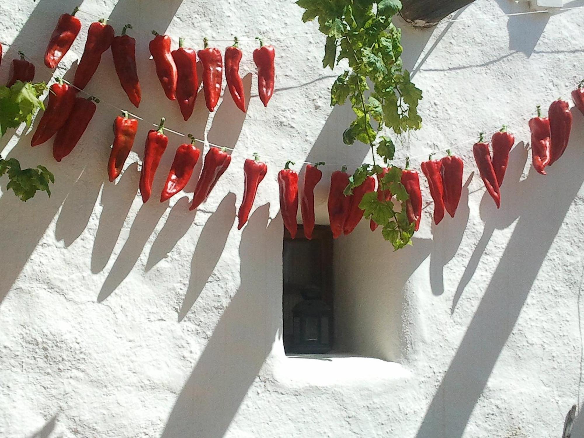 Rural Cortijo La Alberca 3*