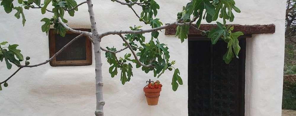 Rural Cortijo La Alberca 3*