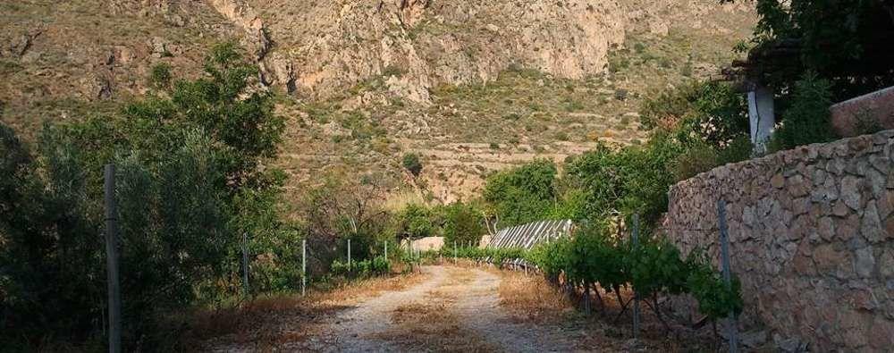 Rural Cortijo La Alberca Hotel Níjar